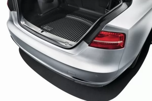 RUYADA  BAGAJ GÖRMEK