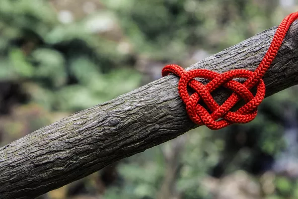 RUYADA DÜĞÜM   VURMAK GÖRMEK