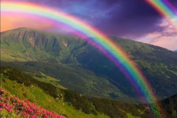 RUYADA EBEM KUŞAĞI GÖRMEK