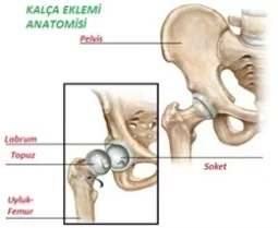 RUYADA EĞE KEMİKLERİ GÖRMEK