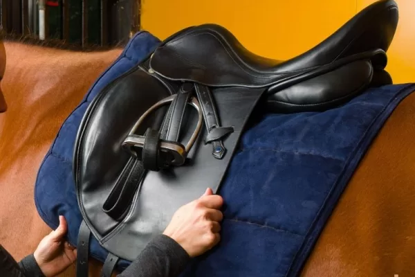 RUYADA EĞER ÖRTÜSÜ GÖRMEK