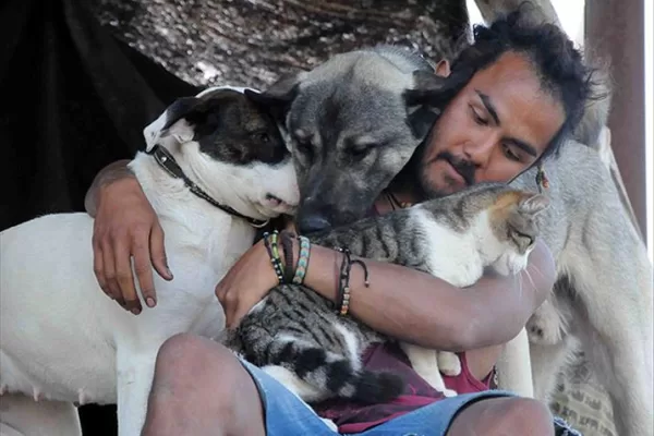 RUYADA EHL-İ  HAYVAN GÖRMEK