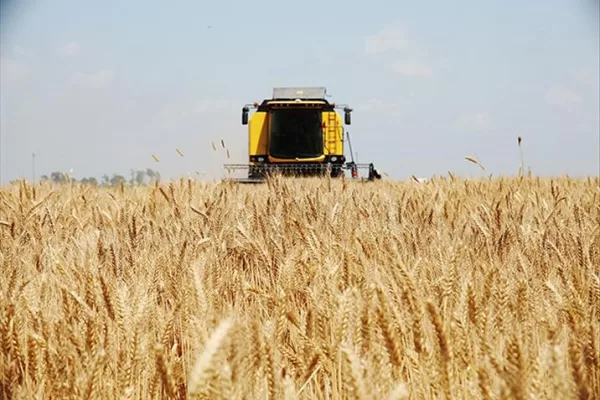 RUYADA EKİNCİ GÖRMEK