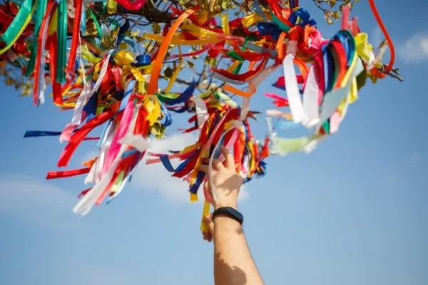 RUYADA EMEL (İstek ve arzu) GÖRMEK