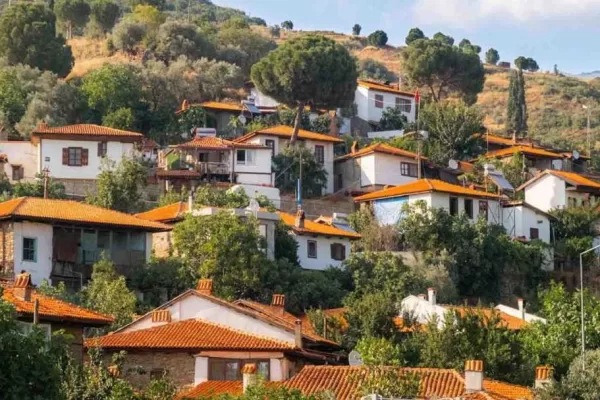 RUYADA EMİNLİK GÖRMEK