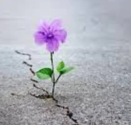 RUYADA FERAHLIK GÖRMEK