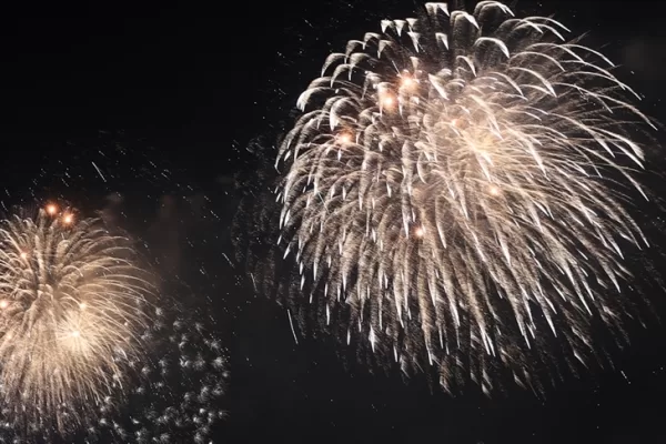 RUYADA FİŞEK GÖRMEK