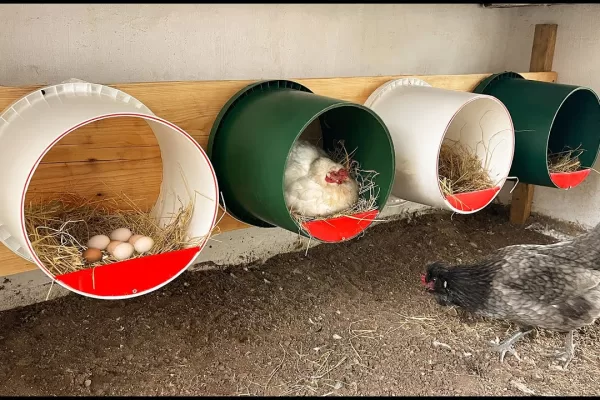 RUYADA FOLLUK GÖRMEK