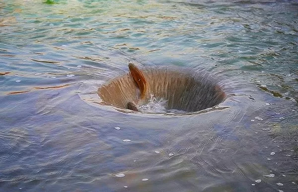 RUYADA GİRDAP GÖRMEK