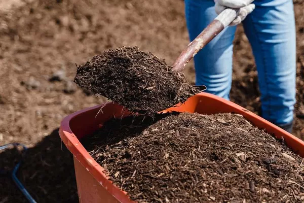 RUYADA GÜBRE GÖRMEK