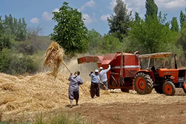 RUYADA HARMAN GÖRMEK