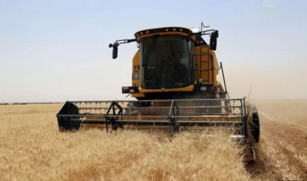 RUYADA HASAD  (Ekin  biçmek) GÖRMEK