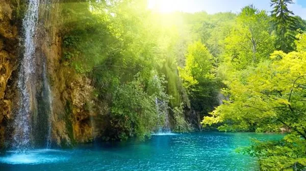 RUYADA HAVZ-I KEVSER GÖRMEK