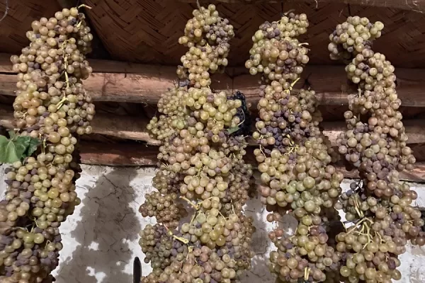 RUYADA HEVENK GÖRMEK