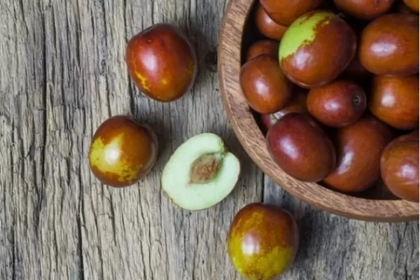 RUYADA HÜNNAP  (Çanak  yapraklı  ye  sert  çekirdekli  bir  ağaç) GÖRMEK