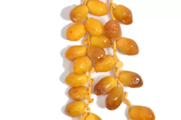 RUYADA HURMA SALKIMI GÖRMEK