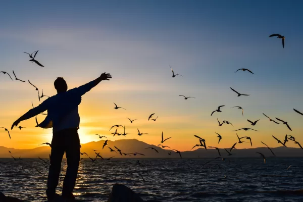 RUYADA HÜRRİYET GÖRMEK