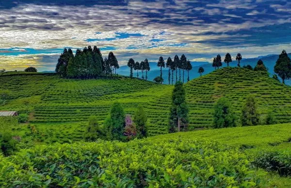 RUYADA  İLAM GÖRMEK