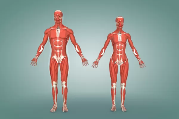 RUYADA   İNSAN  AZASI GÖRMEK