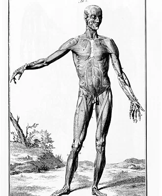 RUYADA   İNSAN  VÜCUDU GÖRMEK