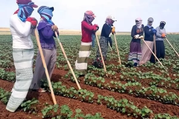 RUYADA IRGAT GÖRMEK