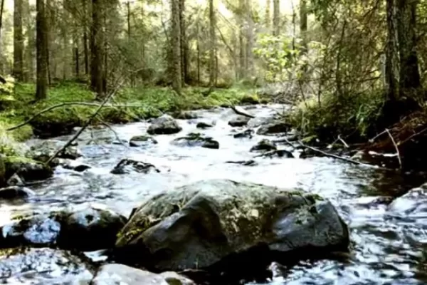 RUYADA IRMAK   TAŞI GÖRMEK