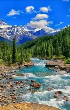 RUYADA IRMAK GÖRMEK