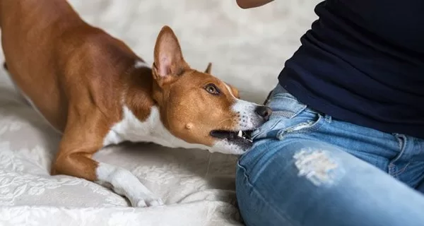 RUYADA ISIRILMAK GÖRMEK