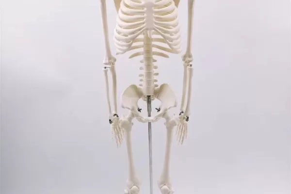 RUYADA   İSKELET GÖRMEK