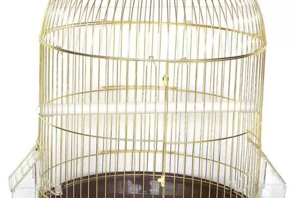 RUYADA   KAFES GÖRMEK