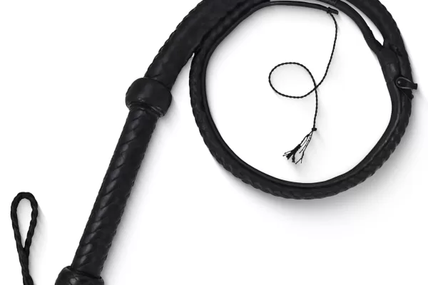 RUYADA  KAMÇI GÖRMEK