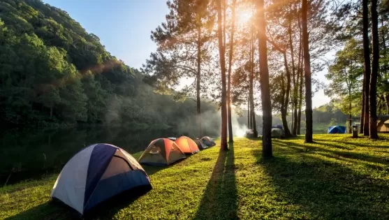 RUYADA  KAMP GÖRMEK