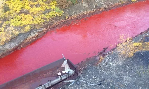 RUYADA KAN IRMAĞI GÖRMEK