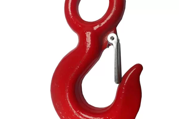 RUYADA  KANCA GÖRMEK