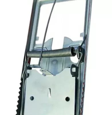 RUYADA   KAPAN  (Tuzak) GÖRMEK