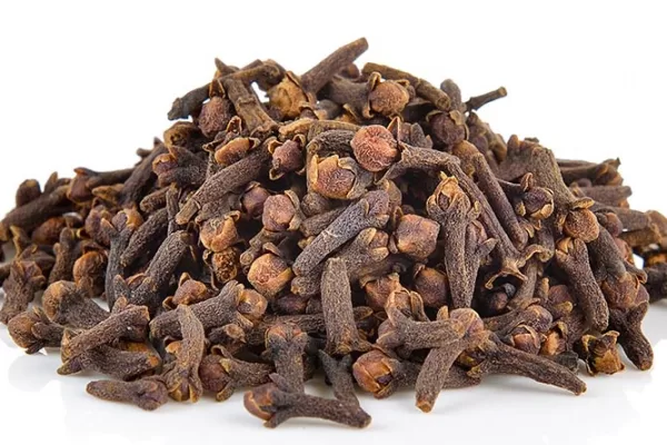 RUYADA   KARANFİL GÖRMEK