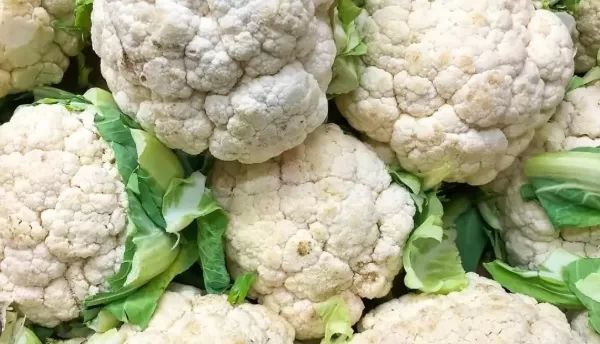 RUYADA  KARNIBAHAR GÖRMEK