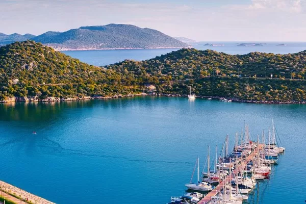 RUYADA  KAŞ GÖRMEK