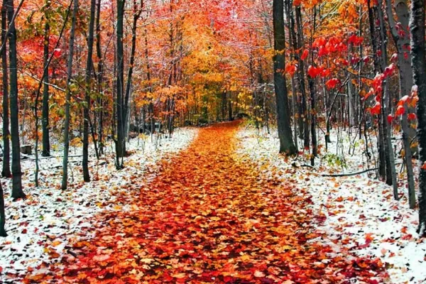 RUYADA   KASIM GÖRMEK