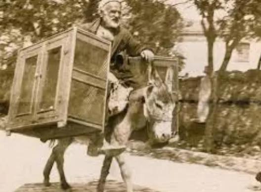 RUYADA   KATIRCI GÖRMEK