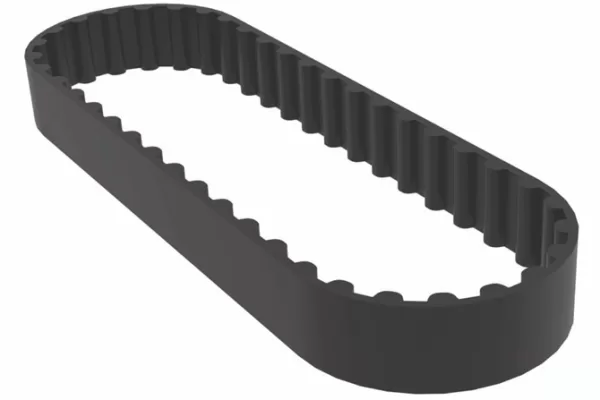 RUYADA   KAYIŞ GÖRMEK