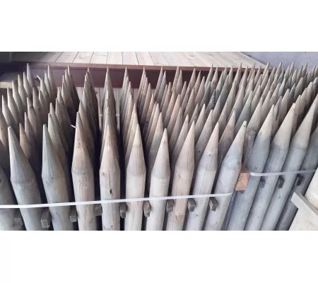 RUYADA  KAZIK GÖRMEK