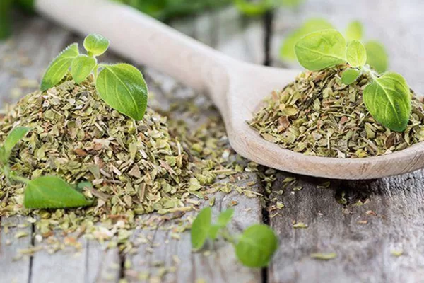 RUYADA  KEKİK GÖRMEK