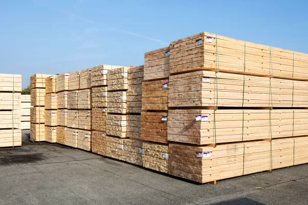 RUYADA   KERESTE GÖRMEK