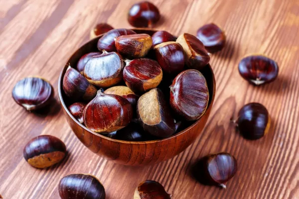 RUYADA  KESTANE GÖRMEK