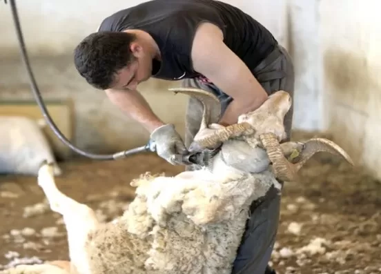 RUYADA   KIRKIMCI GÖRMEK