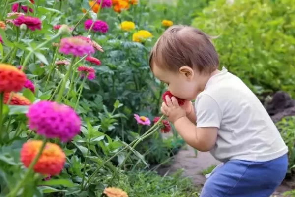 RUYADA  KOKLAMAK GÖRMEK