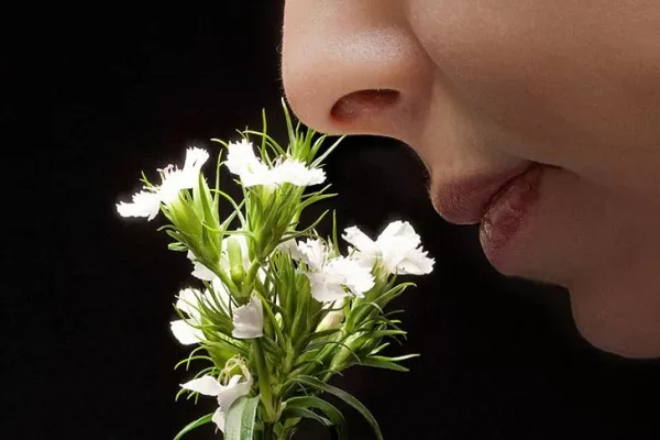 RUYADA  KOKU GÖRMEK