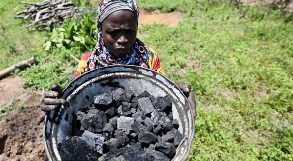 RUYADA  KÖMÜRCÜ GÖRMEK