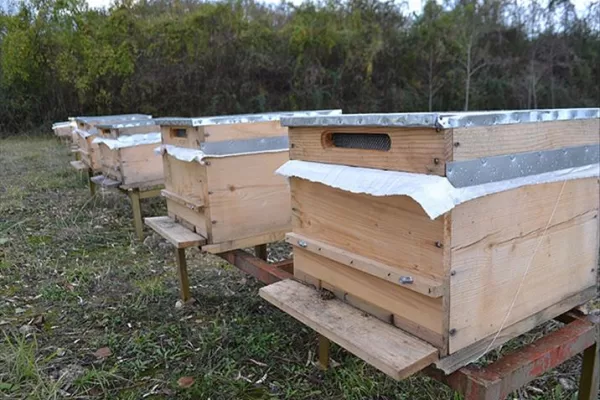 RUYADA  KOVAN GÖRMEK